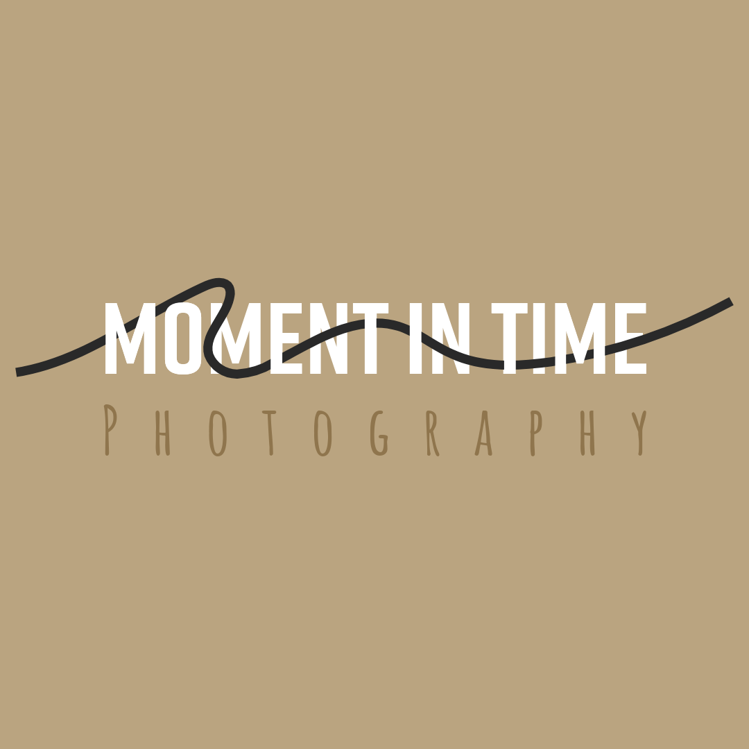 Moment In Time Photography Photography